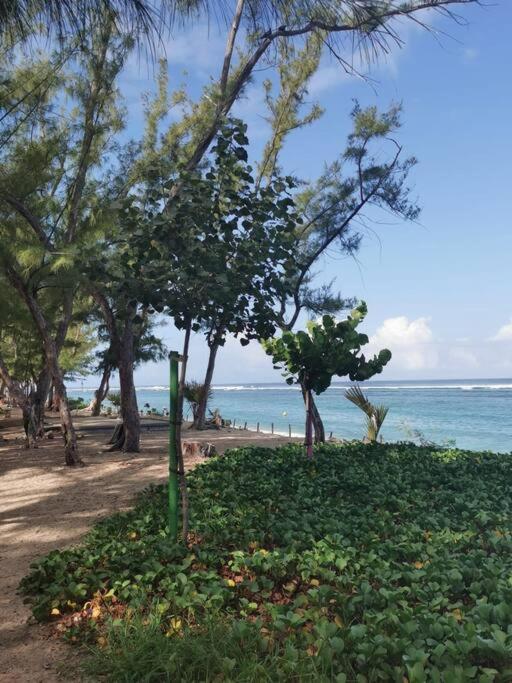 Beau T3 Litchi Vue Ocean Piscine Apartment Saint-Gilles Les Bains Exterior photo