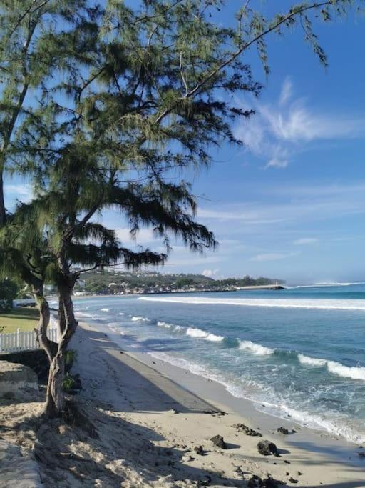Beau T3 Litchi Vue Ocean Piscine Apartment Saint-Gilles Les Bains Exterior photo